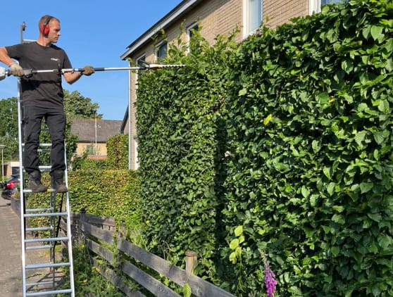 Tuinonderhoud 4 Onderhoud uw tuin