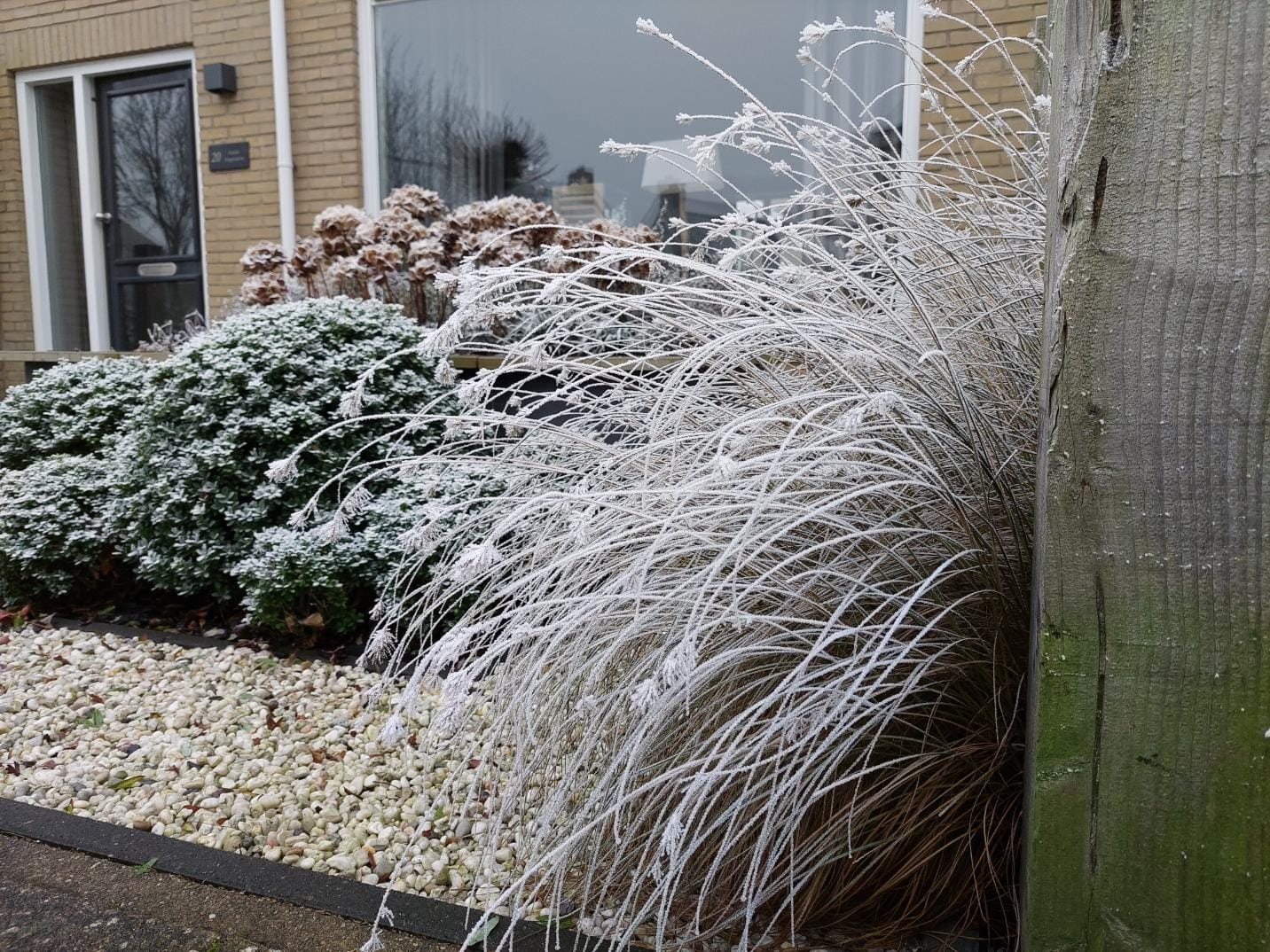 Hoveniersbedrijf Hoveniersbedrijf omgeving Meppel