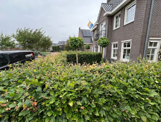 Tuinonderhoud 1 Laat uw tuin onderhouden