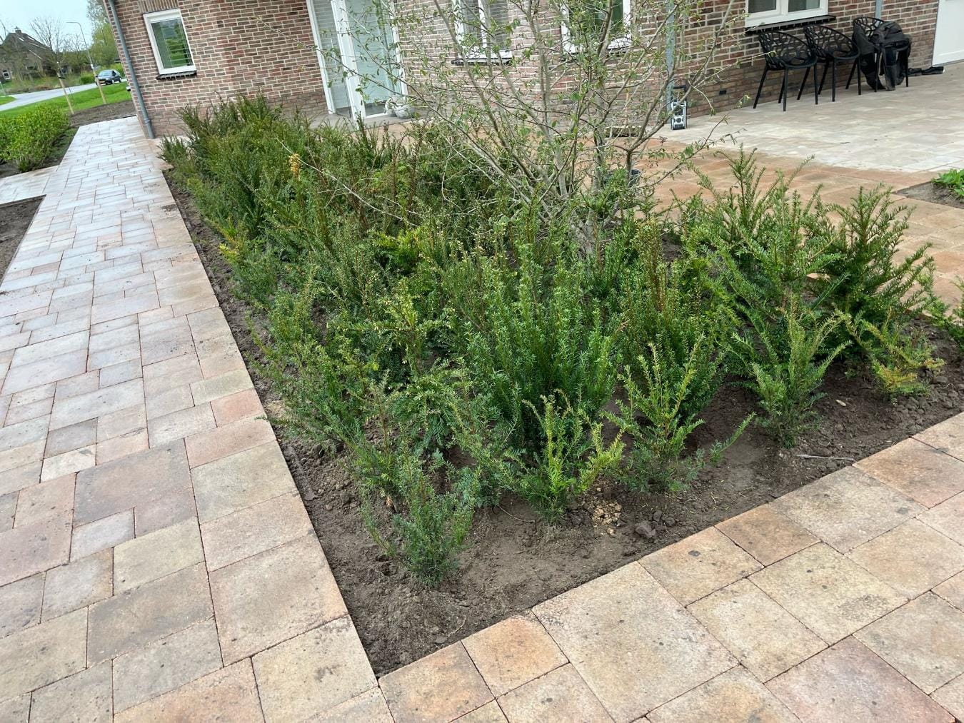 IMG-20250417-WA0008 (1) Hoveniersbedrijf Biddinghuizen